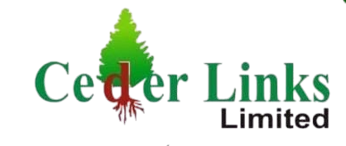 Client 15 Logo